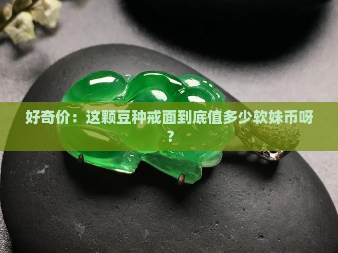 豆种戒面多少钱