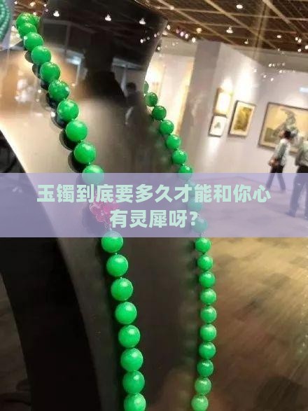 玉镯多久认主