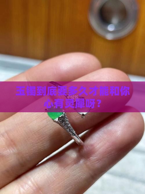 玉镯多久认主