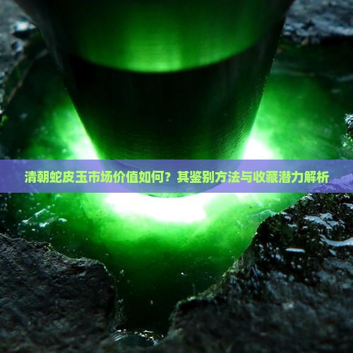 清朝蛇皮玉能值多少钱