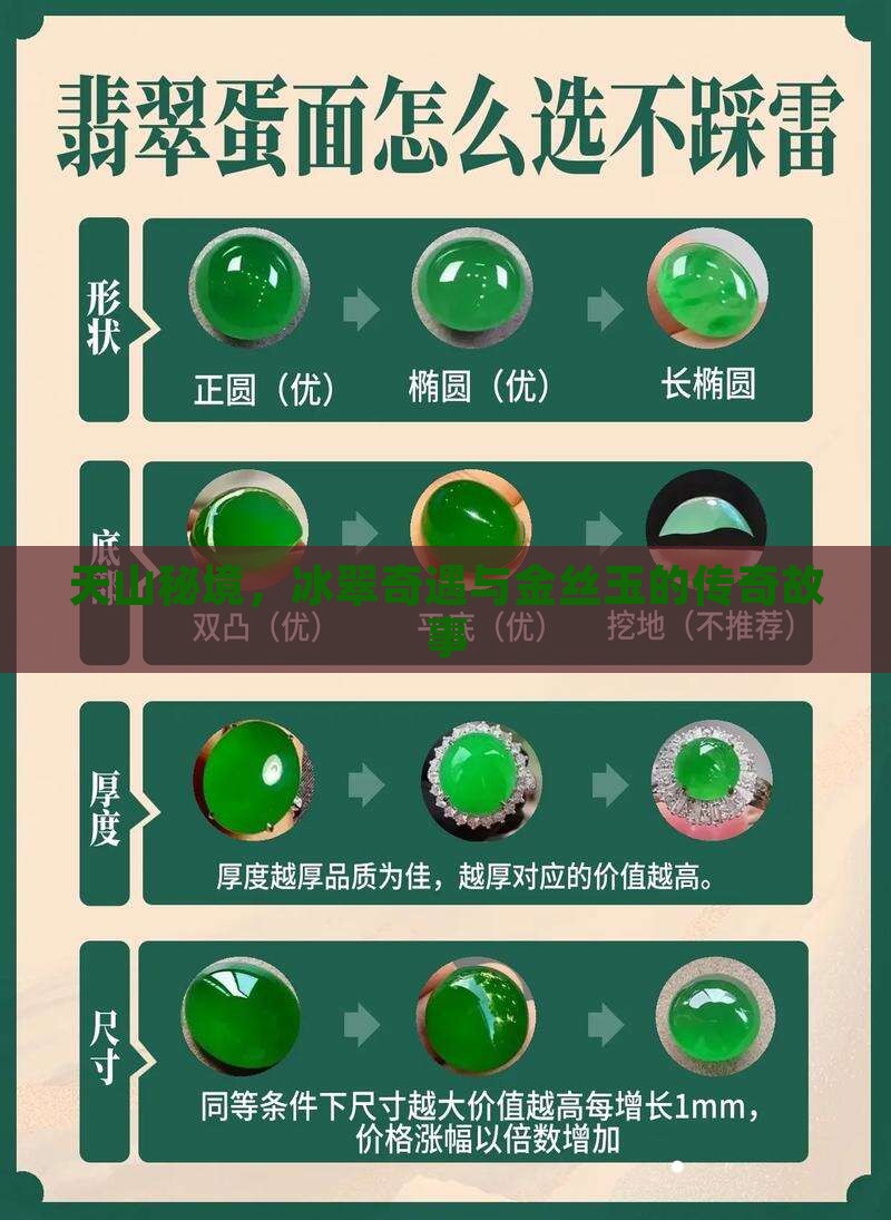 天山冰翠和金丝玉