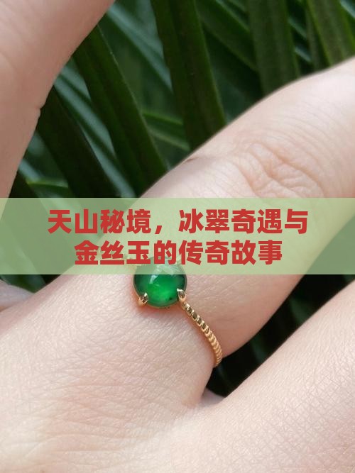 天山冰翠和金丝玉