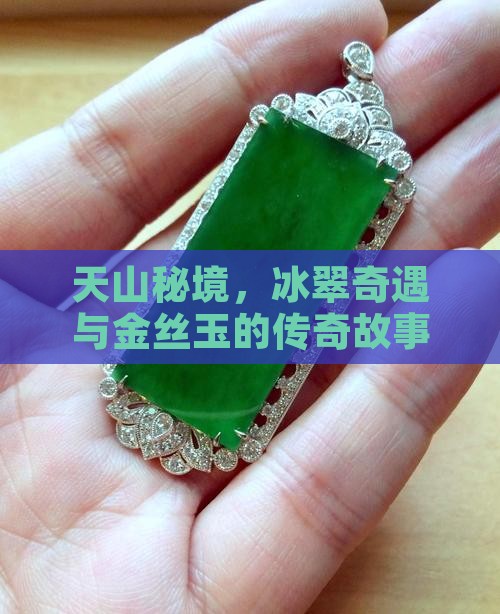 天山冰翠和金丝玉