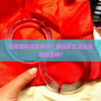 油青老料会变种吗