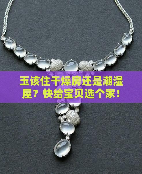 玉应该保存在干燥还是湿润