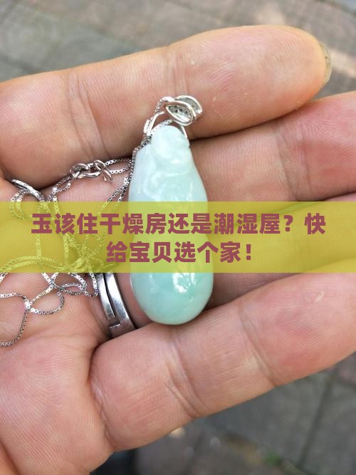 玉应该保存在干燥还是湿润