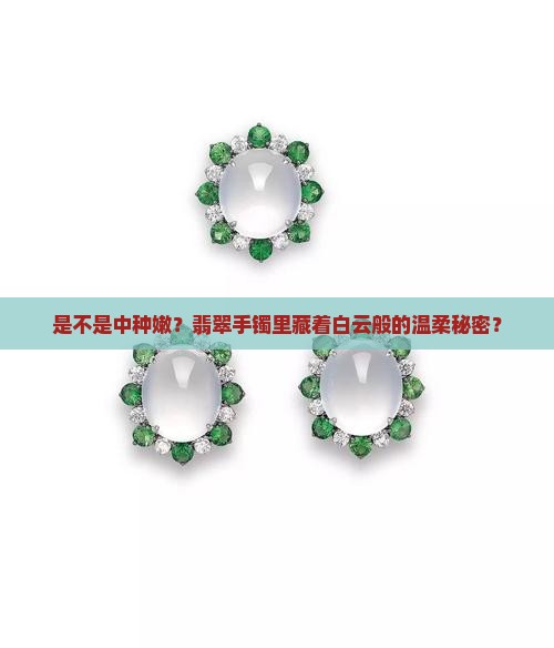 翡翠手镯有白云似的棉团是中种嫩吗