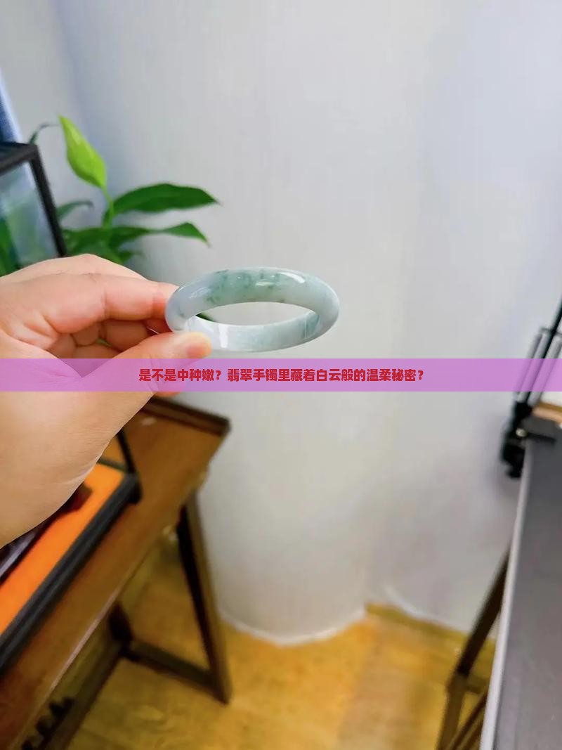翡翠手镯有白云似的棉团是中种嫩吗