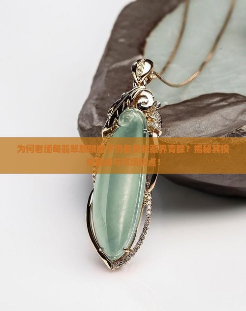 老缅甸翡翠麒麟牌子