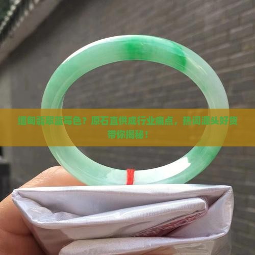 缅甸翡翠蓝莓色 缅甸翡翠蓝莓色