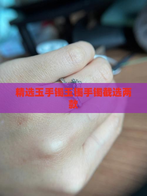 玉手镯截2个 玉手镯截2个
