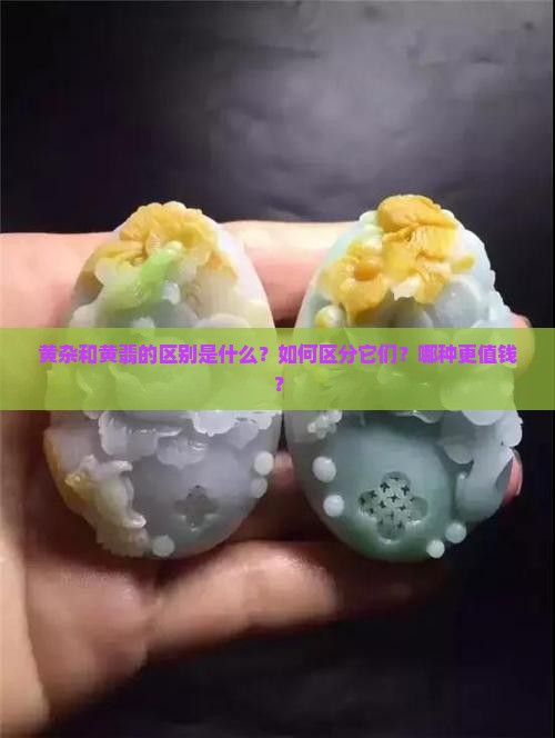 黄杂和黄翡