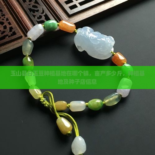 玉山县白玉豆