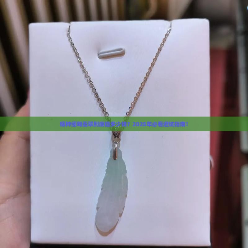 糯种缅甸翡翠多少钱