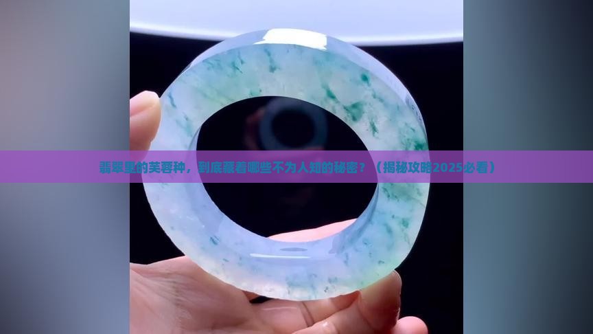 翡翠中的芙蓉种