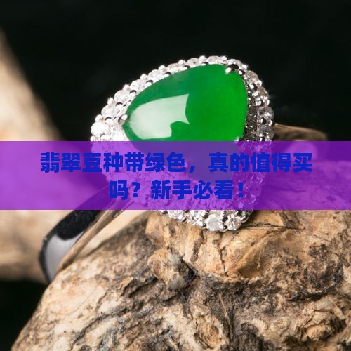 翡翠豆种带绿色