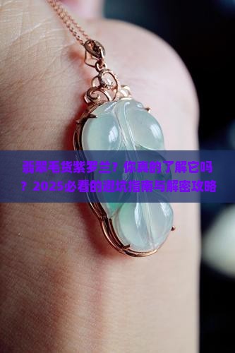 翡翠毛货紫罗兰