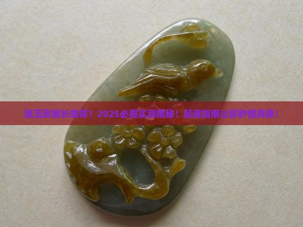 紫玉是什么样的