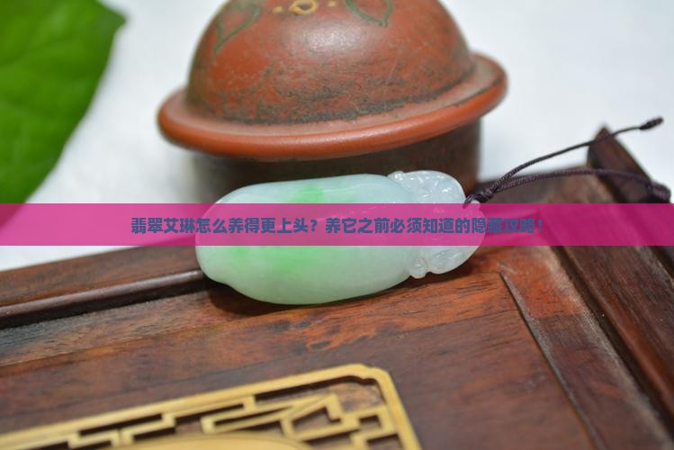翡翠艾琳怎么养的好一点