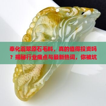 奉化翡翠原石毛料