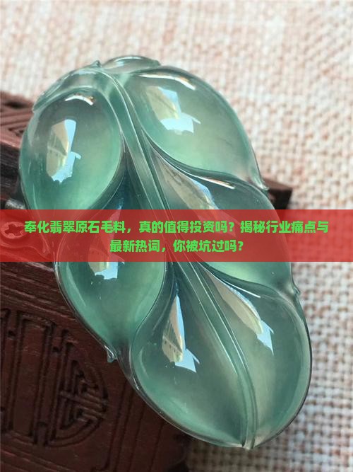 奉化翡翠原石毛料