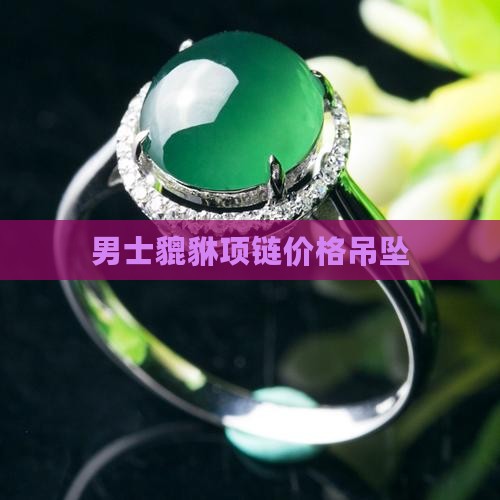 上海男士项链玉石貔貅 上海男士项链玉石貔貅
