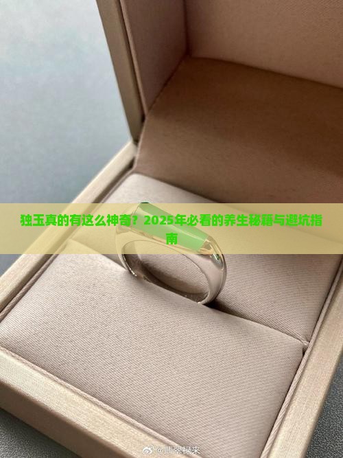 独玉的功效和作用