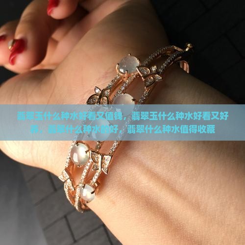 翡翠玉什么种水好看