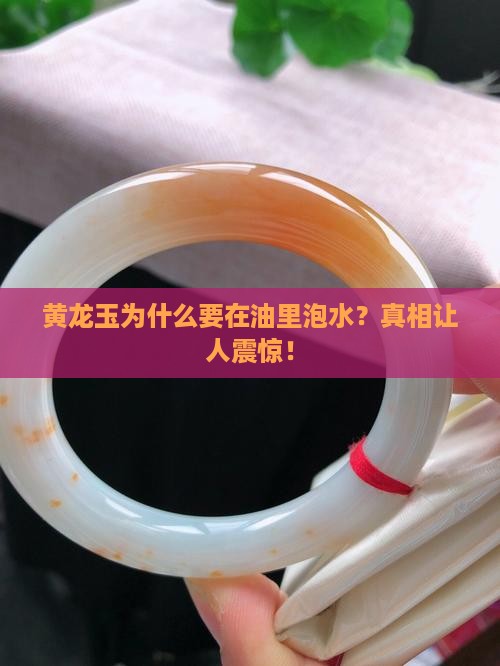 黄龙玉为什么要在油里泡水
