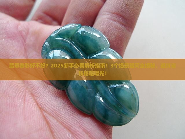 翡翠春彩好不好