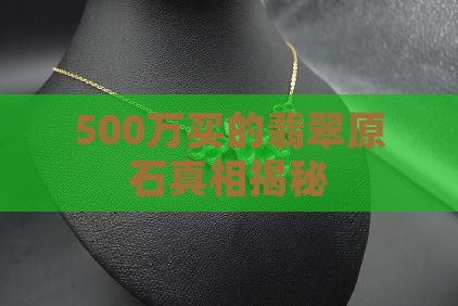 500万买的翡翠原石
