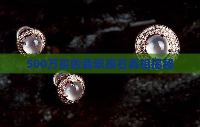 500万买的翡翠原石