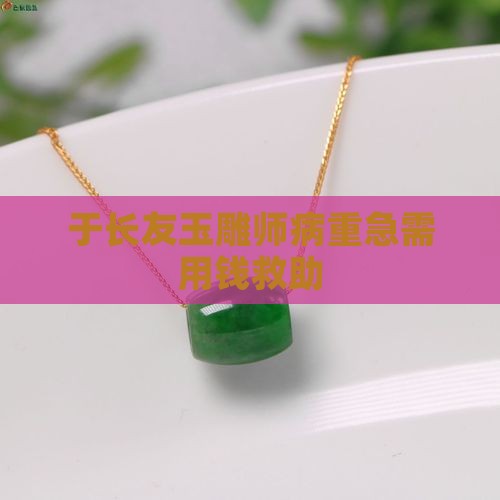 于长友玉雕师病了急需用钱