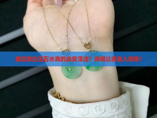 鱼缸放白玉石水变浑浊