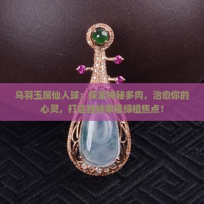 乌羽玉属仙人球