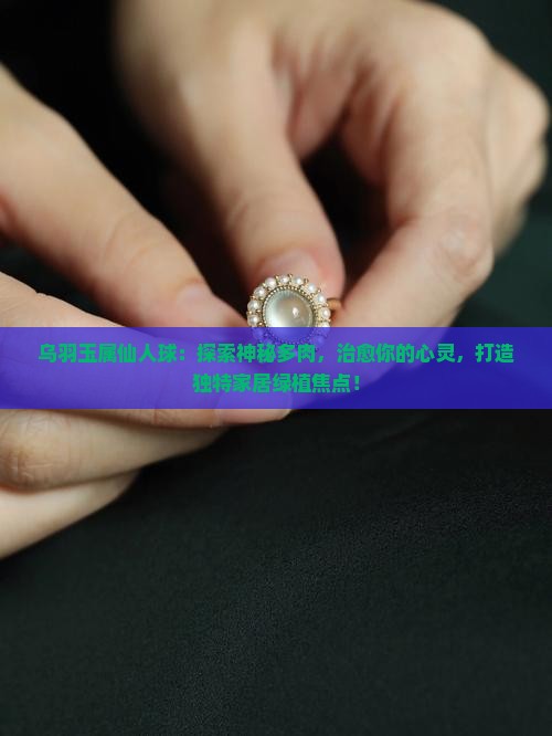 乌羽玉属仙人球