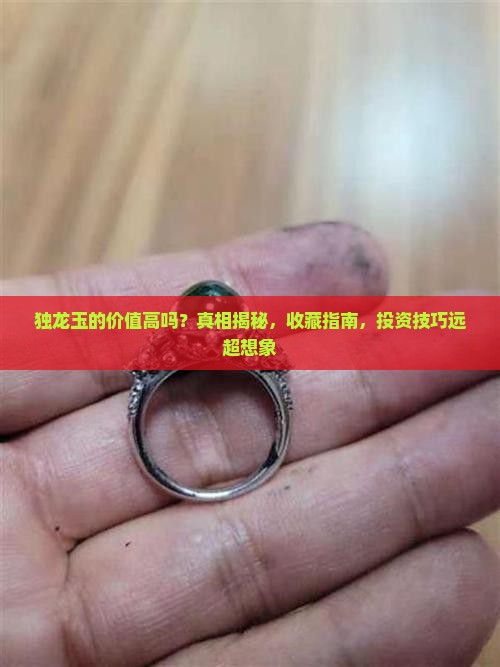 独龙玉的价值高吗