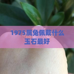 1975属兔佩戴什么玉石最好