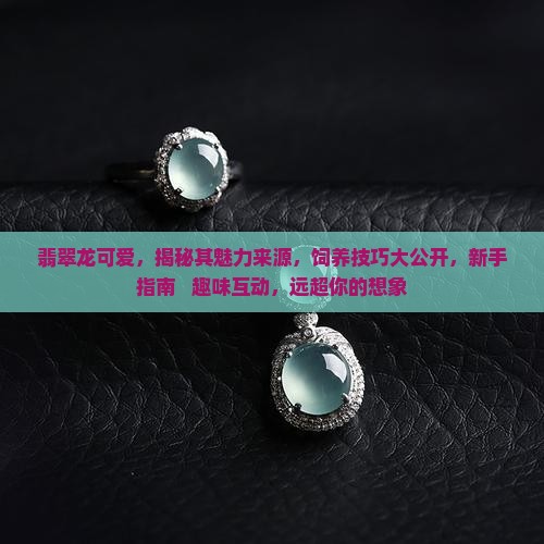 翡翠龙可爱