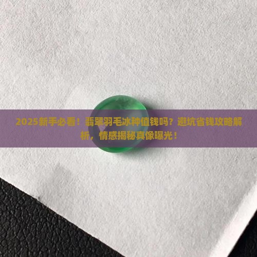 翡翠羽毛冰种值钱吗