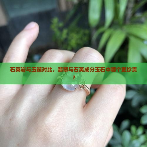 石英岩与玉髓对比，翡翠与石英成分玉石中哪个更珍贵？