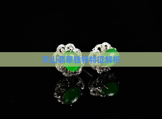 天山翡翠独特特征解析