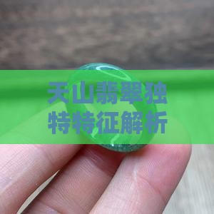 天山翡翠独特特征解析