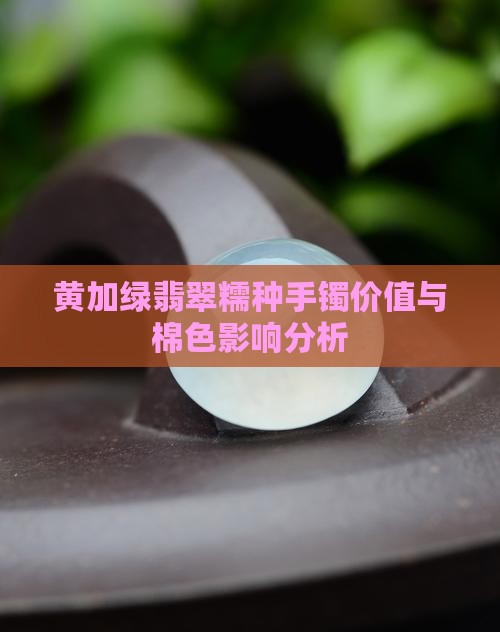 黄加绿翡翠糯种手镯价值与棉色影响分析