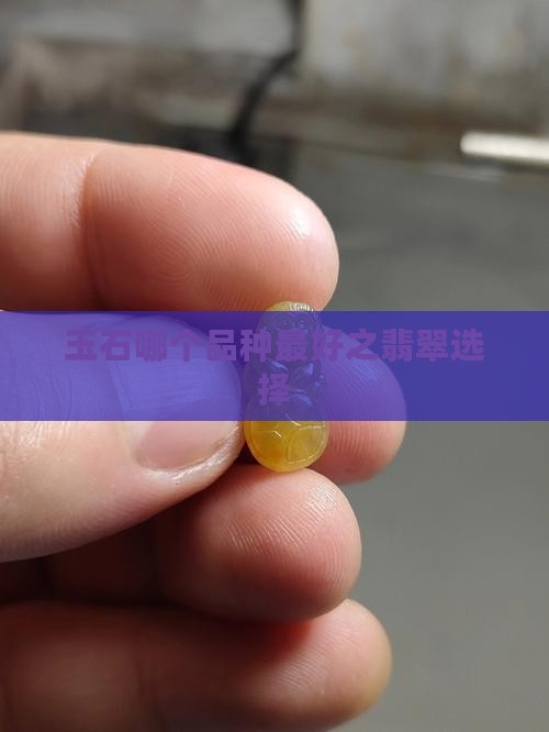 玉石哪个品种最好之翡翠选择