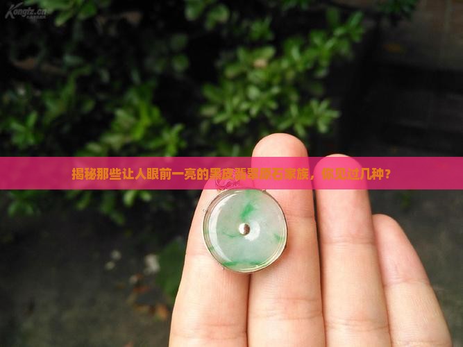 黑皮翡翠原石种类