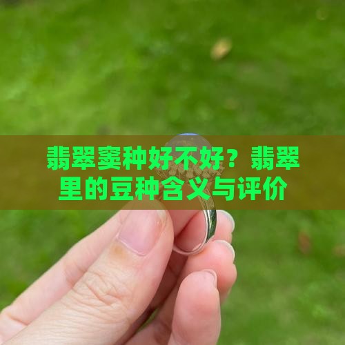 翡翠窦种好不好