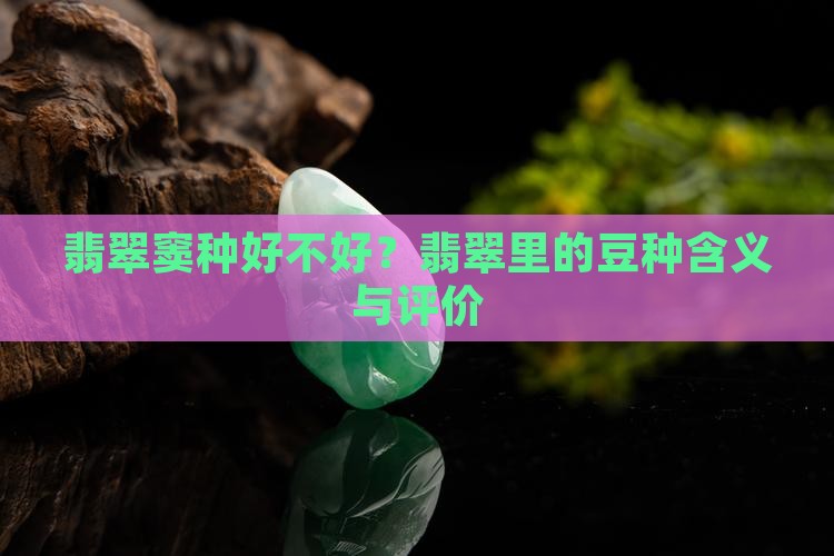 翡翠窦种好不好
