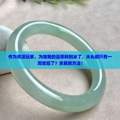 翡翠感觉种到冰了水头却很短