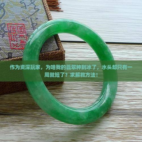 翡翠感觉种到冰了水头却很短